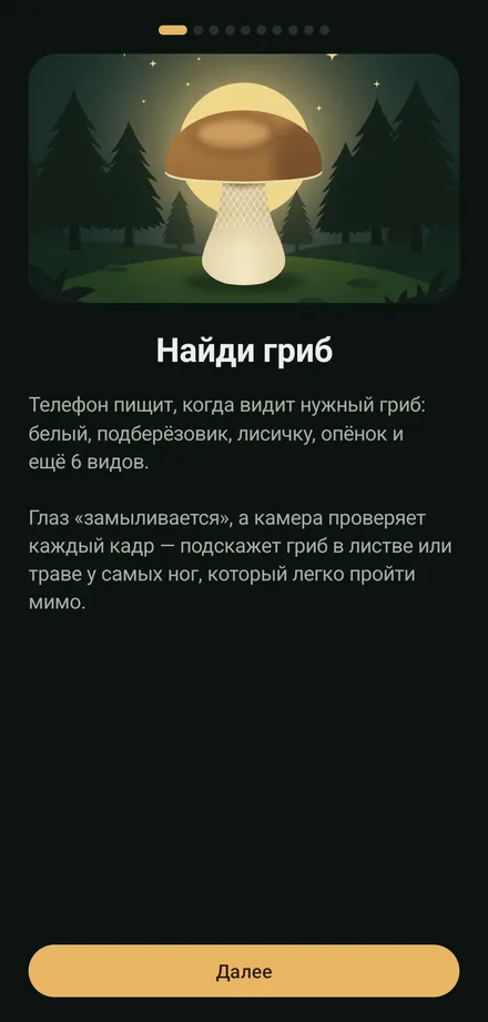Знакомство: экран «Найди гриб»